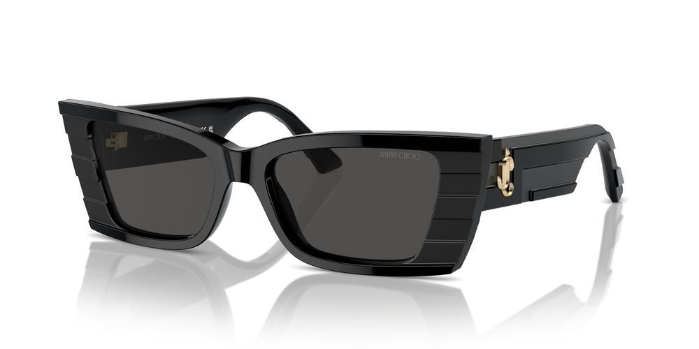 JIMMY CHOO JC 5009 JC 5009_500087_53 Sonnenbrille ansicht-2