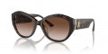 JIMMY CHOO JC 5013U JC 5013U_500213_55 Sonnenbrille ansicht-3