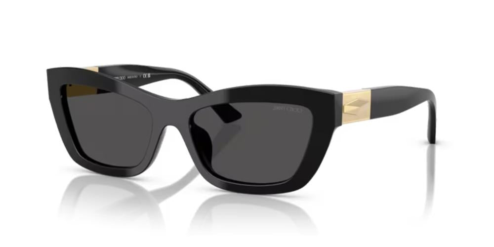 JIMMY CHOO JC 5030U JC 5030U_500087_54 Sonnenbrille ansicht-2