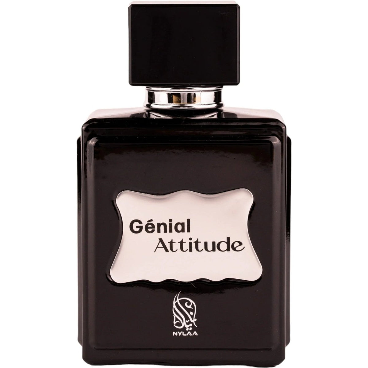 Nylaa Nylaa, Genial Attitude, Eau de Parfum, Für Männer, 100 ml Regular