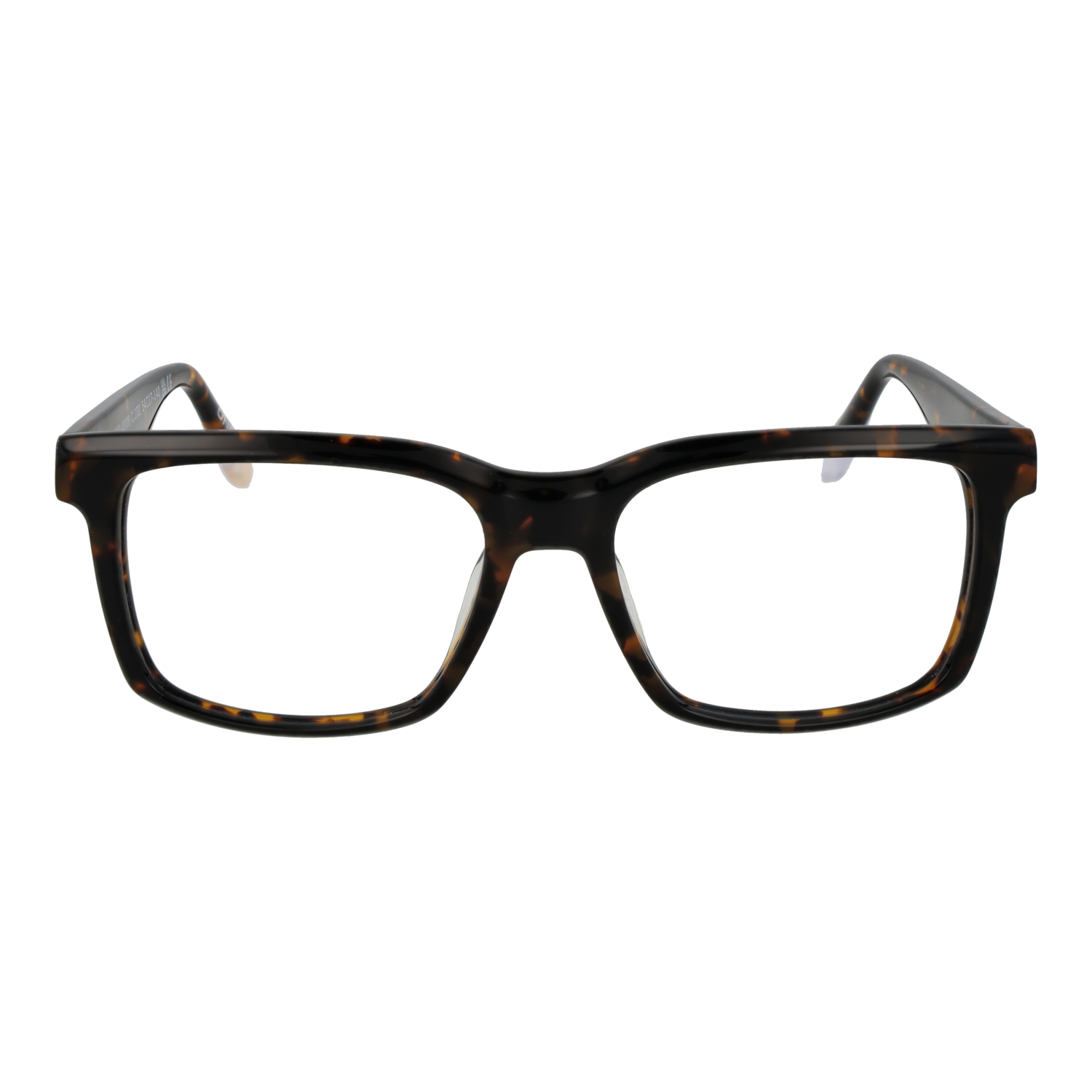 O'NEILL EYEWEAR ONB 4008 54102 Sonnenbrille