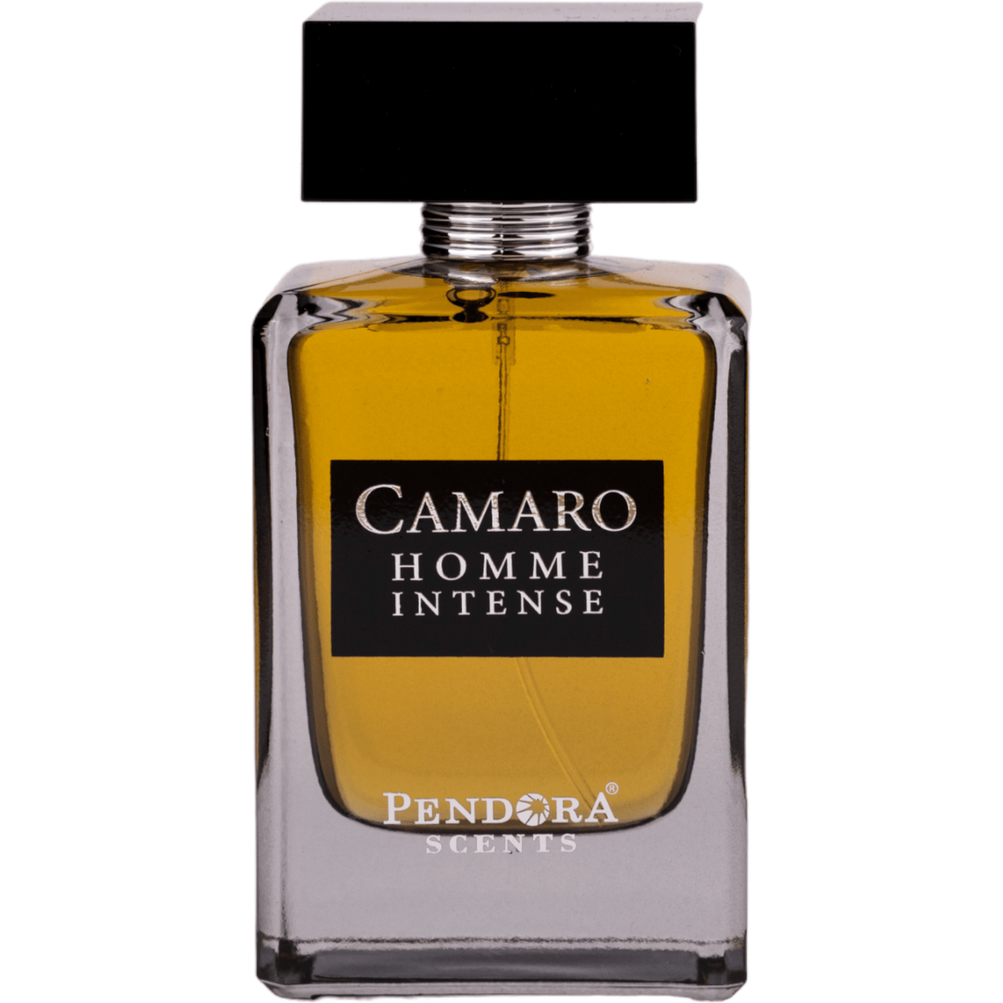 Pendora Scents Camaro Homme Intense Eau de Parfum 100 ml – Männlich & Intensiv