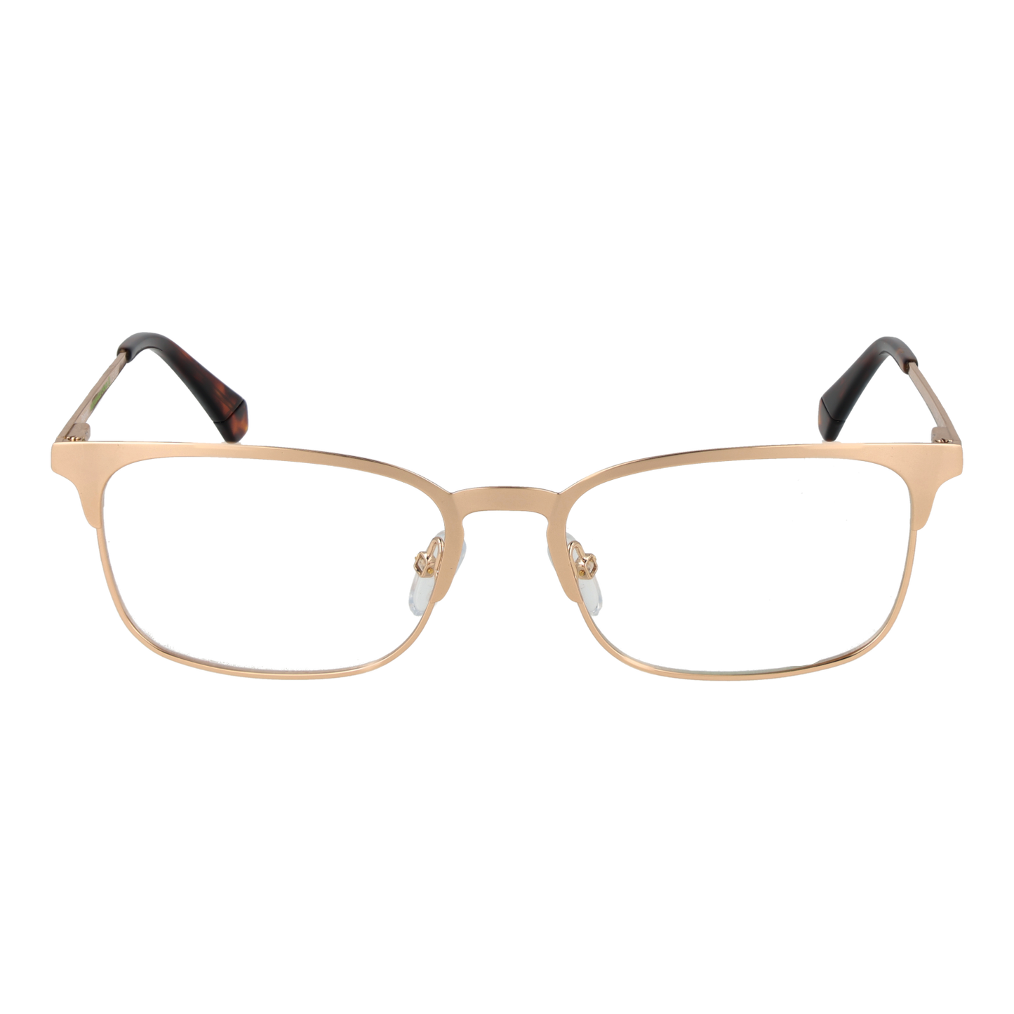 POLAROID FRAME PLD D441 54J5G17 Sonnenbrille