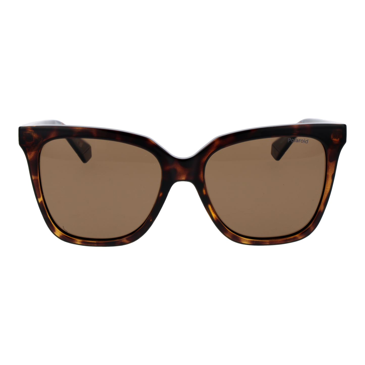 POLAROID SUNGLASSES PLD 4155_S_X 55086SP Sonnenbrille