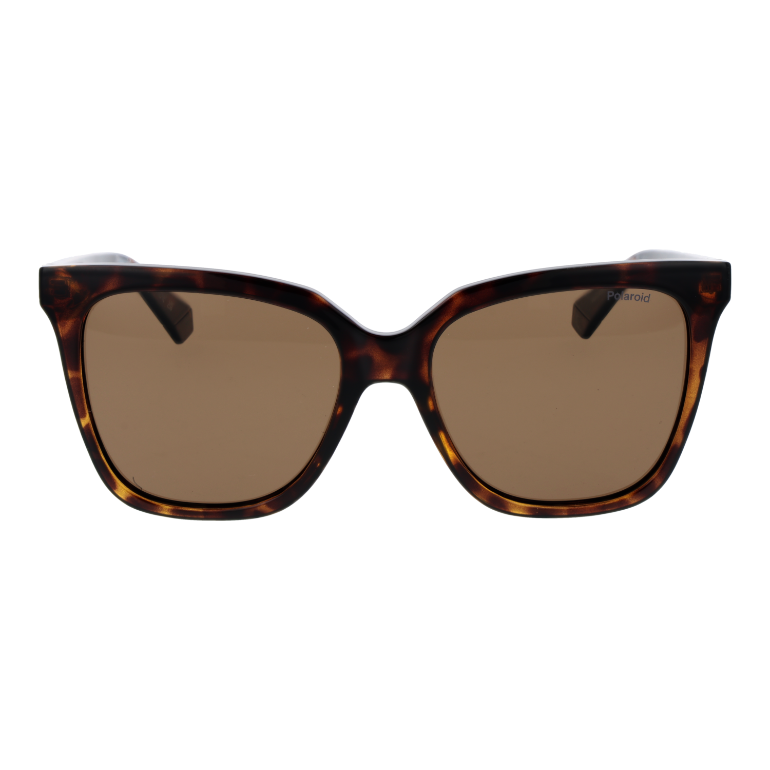 POLAROID SUNGLASSES PLD 4155_S_X 55086SP Sonnenbrille