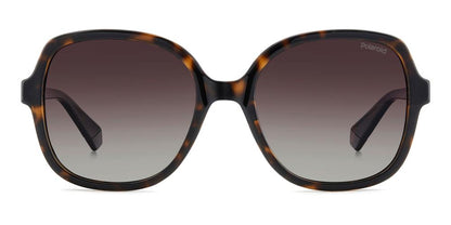 POLAROID SUNGLASSES PLD 4177_S_X_086-LA_55 Sonnenbrille