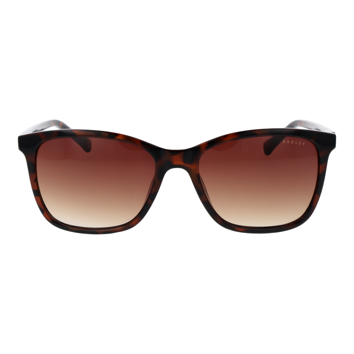 RADLEY SUNGLASSES RDS-6563 55102 Sonnenbrille