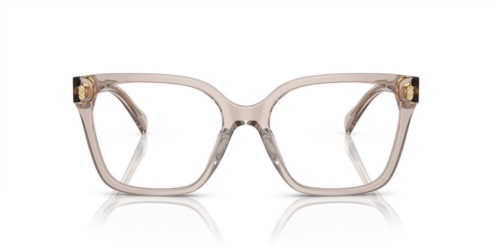 RALPH LAUREN EYEWEAR RA 7158U RA 7158U_6117_53 Sonnenbrille
