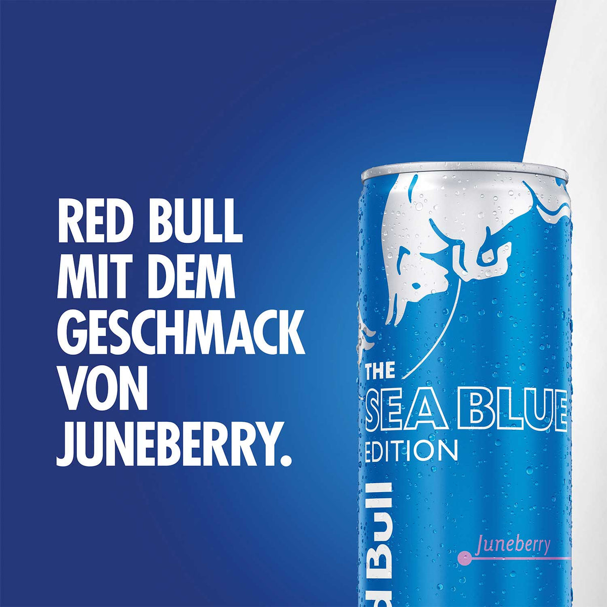 Red Bull Energy Drink Sea Blue Edition Juneberry 250ml