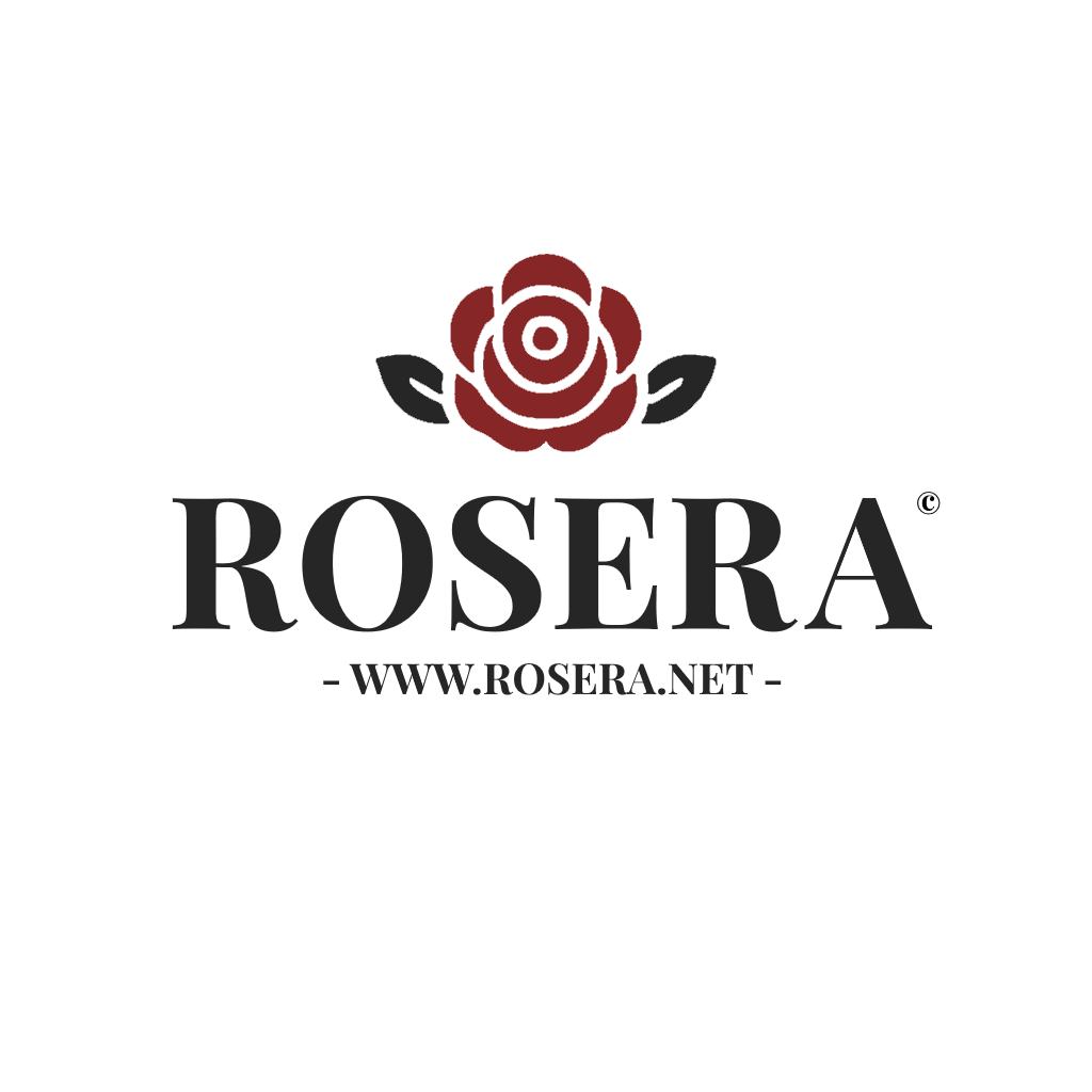 MAYBELLINE Superstay Activewear 30h Corrector 30 Honey 30 ml Concealer Kosmetik