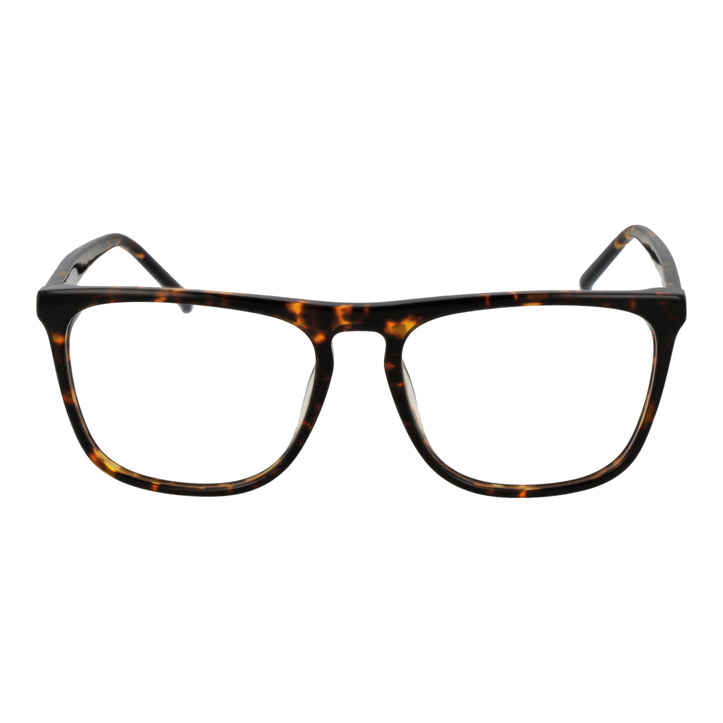 SCOTCH & SODA EYEWEAR SS4010 55175 Sonnenbrille