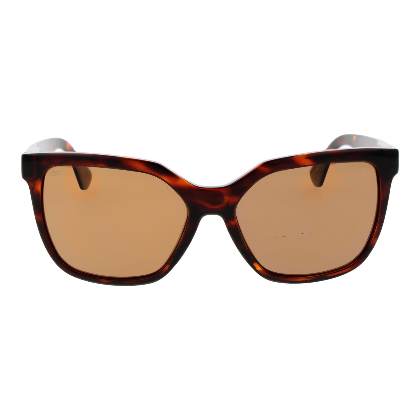 SERENGETI SUNGLASSES SS536004 Wakota Sonnenbrille