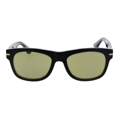 SERENGETI SUNGLASSES SS549005 Foyt Sonnenbrille