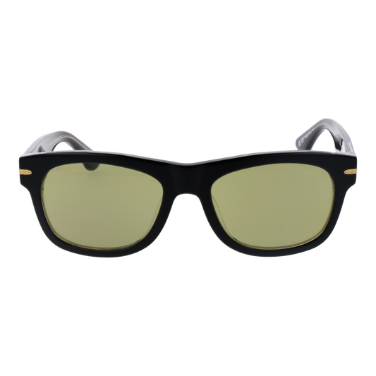 SERENGETI SUNGLASSES SS549005 Foyt Sonnenbrille