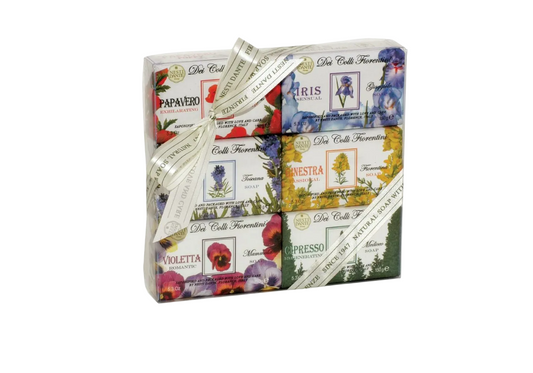 Nesti Dante Setzen, Nesti Dante, Dei Colli Fiorentini, Seifenstück, 6 stk, 150 g Regular