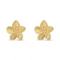 STROILI JEWELS 1694692 Schmuck ansicht-3