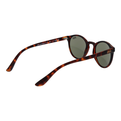 SUPERDRY SUNGLASSES SDS-SARATOGA 47102 Sonnenbrille ansicht-2