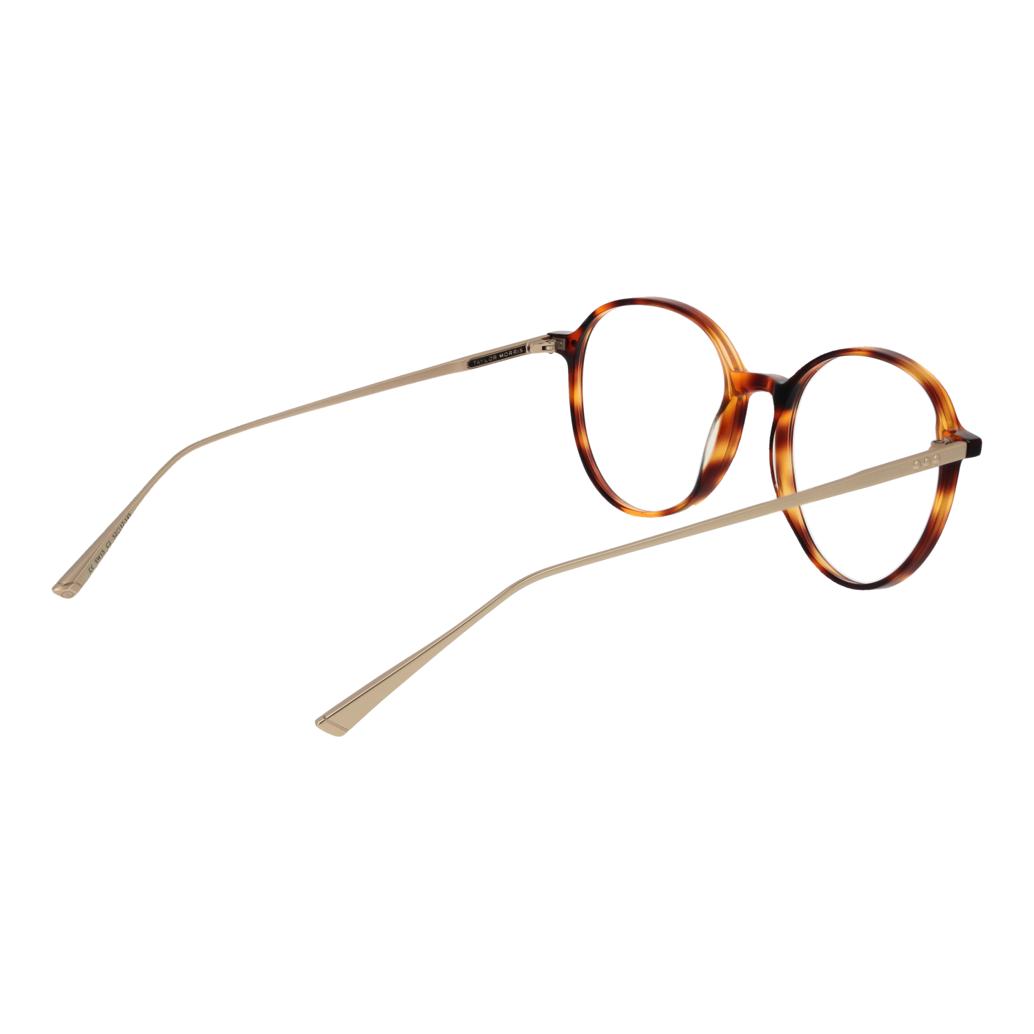 TAYLOR MORRIS EYEWEAR SW15 C2 Sonnenbrille ansicht-2