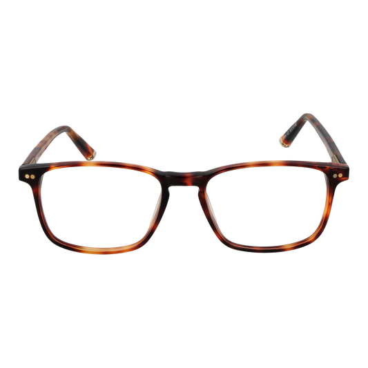 TAYLOR MORRIS EYEWEAR SW16 52C2 Sonnenbrille