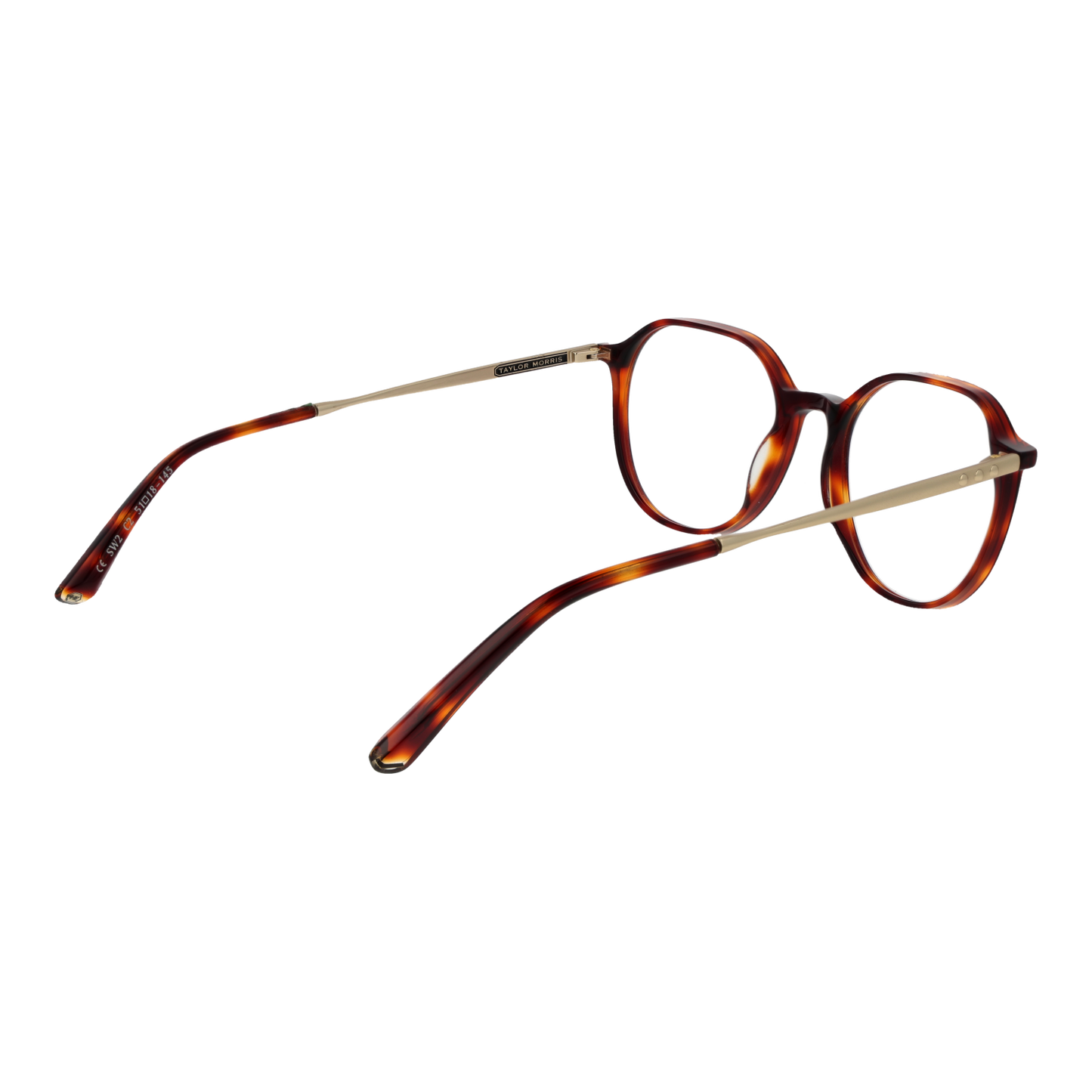 TAYLOR MORRIS EYEWEAR SW2 51C2 Sonnenbrille ansicht-2