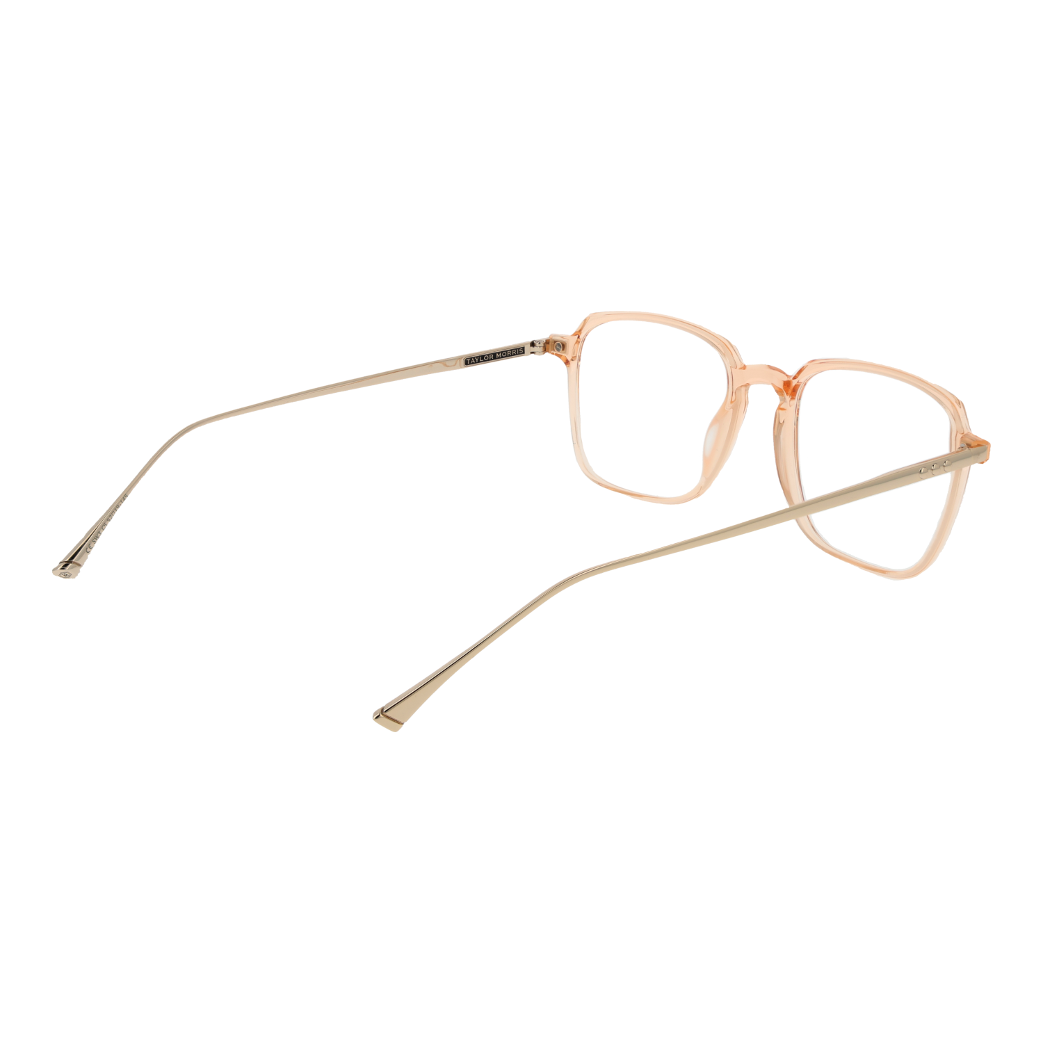 TAYLOR MORRIS EYEWEAR SW3 52C5 Sonnenbrille ansicht-2