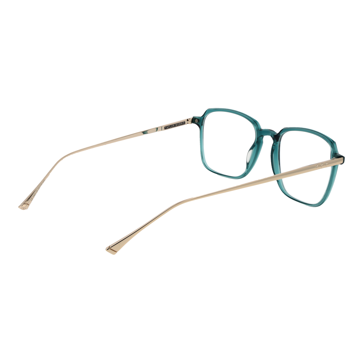 TAYLOR MORRIS EYEWEAR SW3 52C6 Sonnenbrille ansicht-2