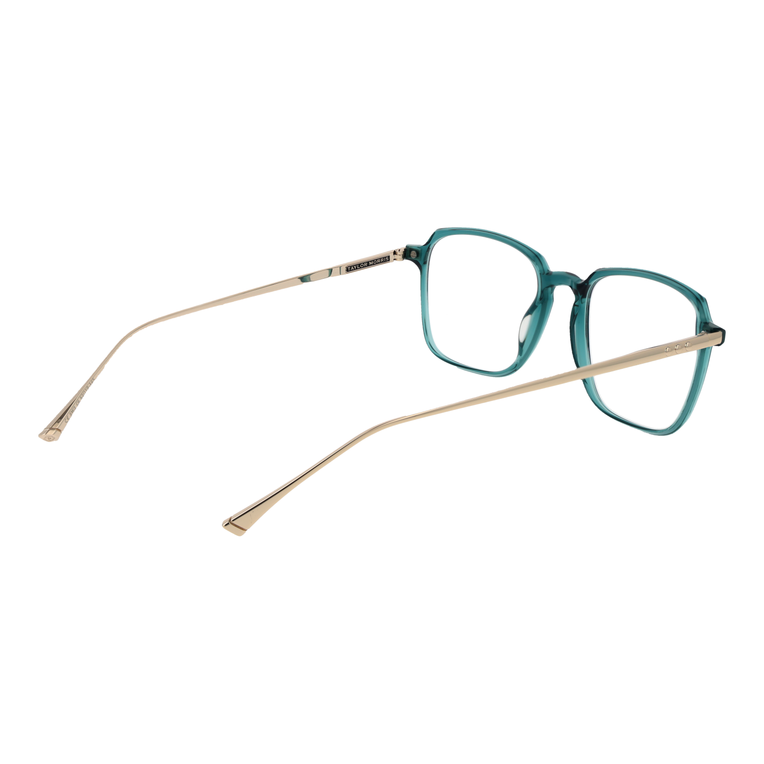 TAYLOR MORRIS EYEWEAR SW3 52C6 Sonnenbrille ansicht-2