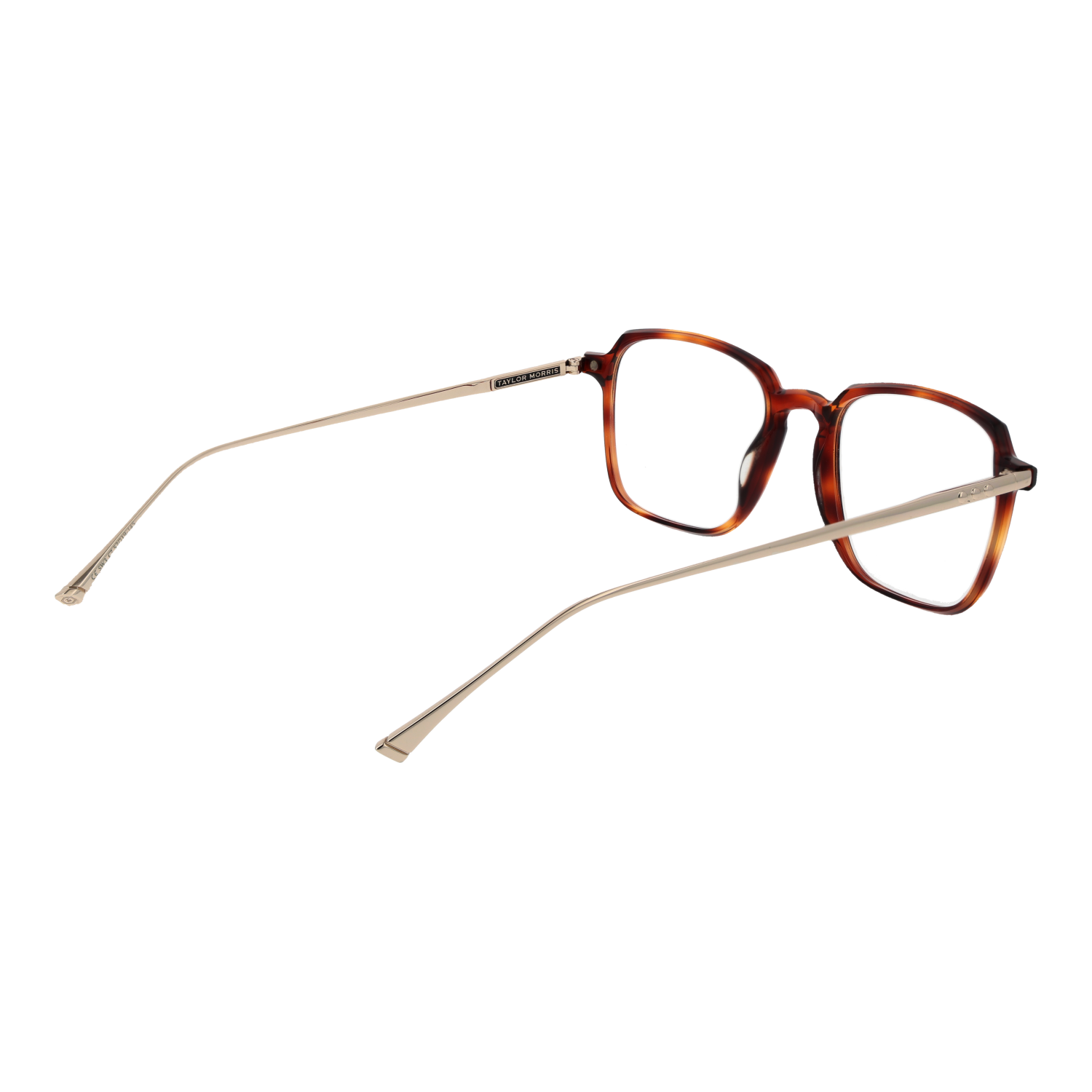 TAYLOR MORRIS EYEWEAR SW3 52C7 Sonnenbrille ansicht-2