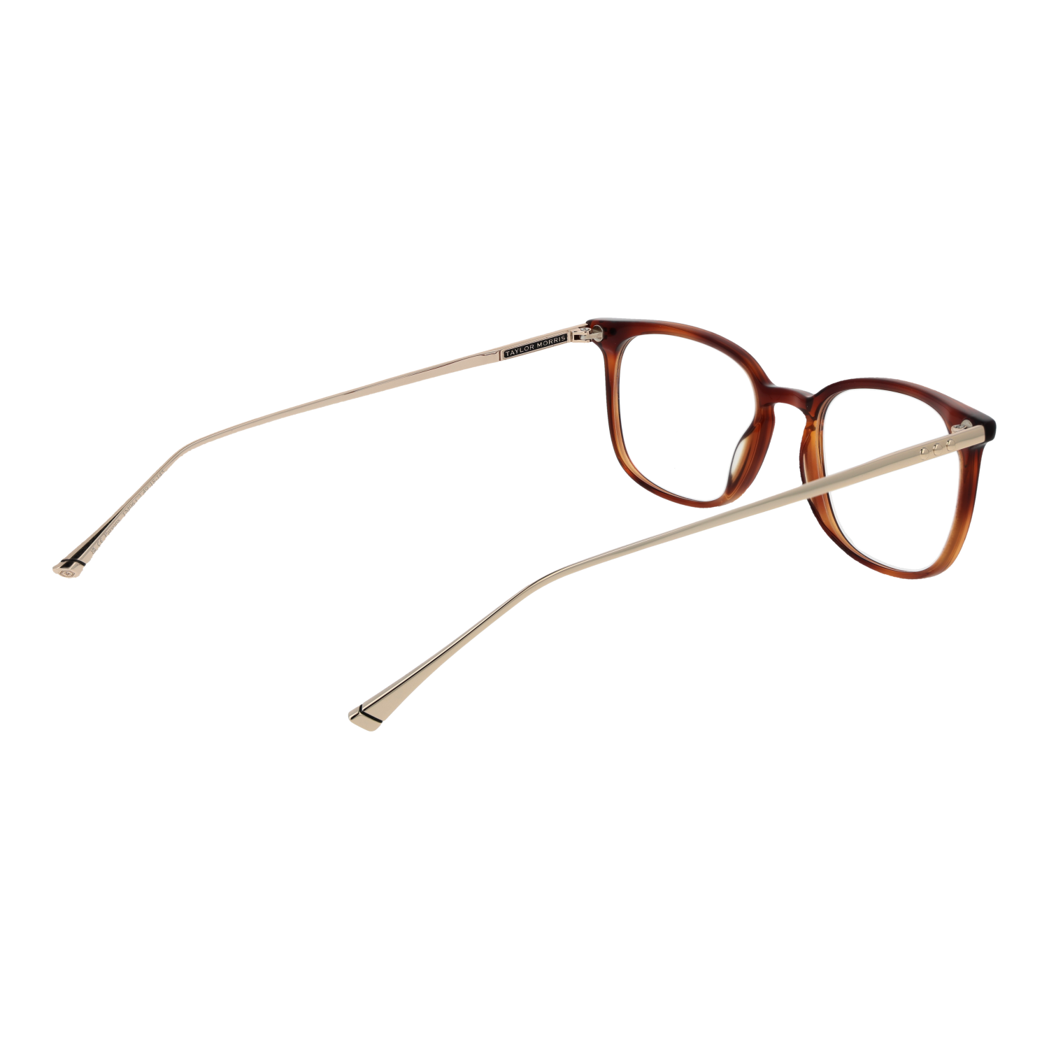 TAYLOR MORRIS EYEWEAR TM06 49C2 Sonnenbrille ansicht-2