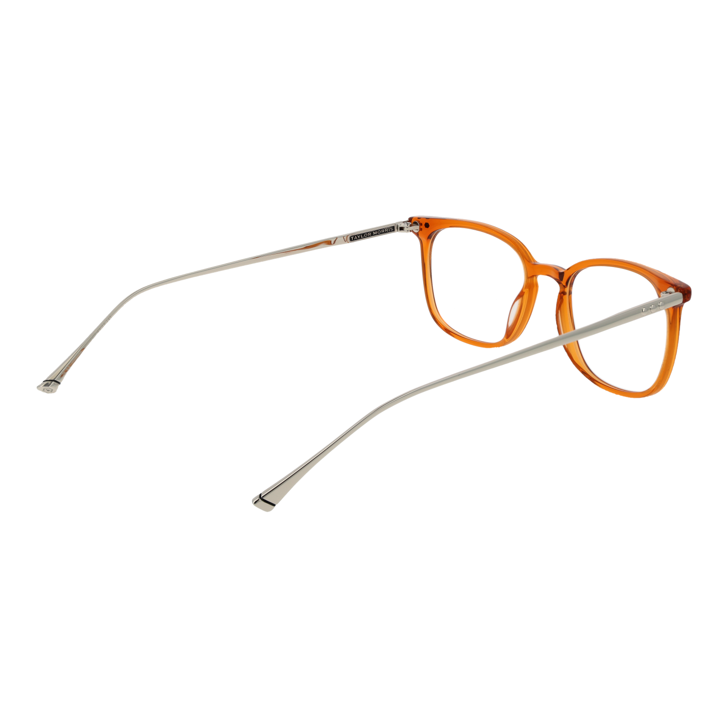 TAYLOR MORRIS EYEWEAR TM06 49C3 Sonnenbrille ansicht-2