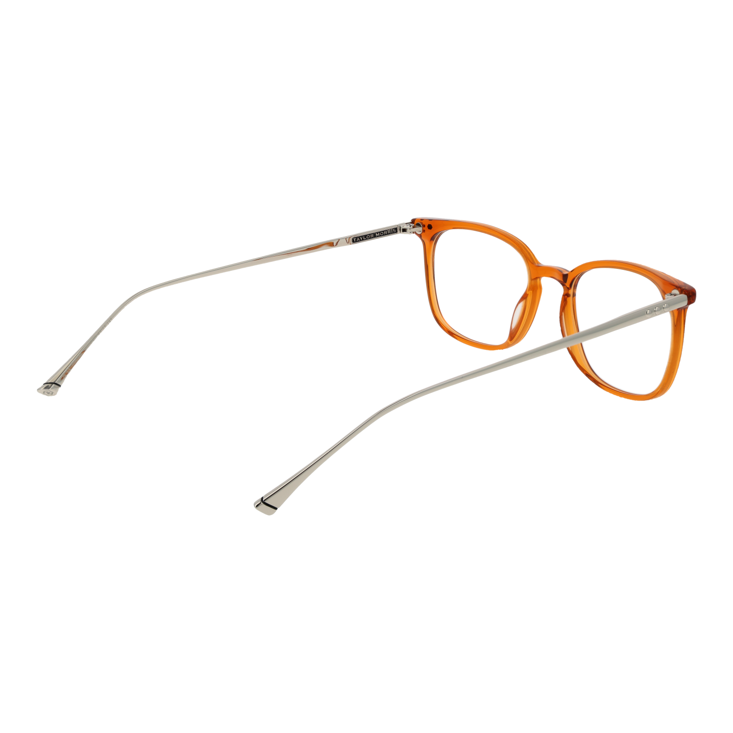 TAYLOR MORRIS EYEWEAR TM06 49C3 Sonnenbrille ansicht-2