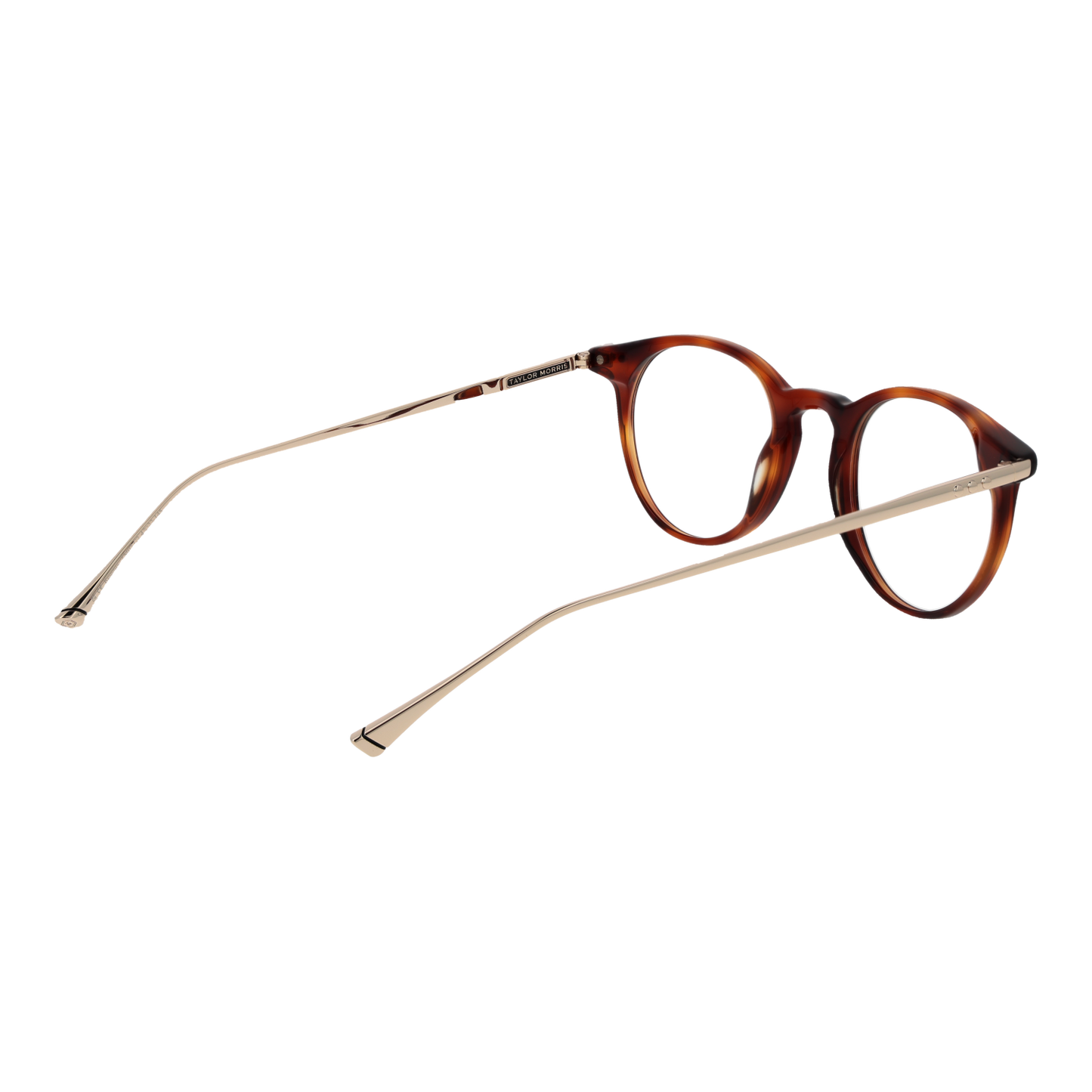 TAYLOR MORRIS EYEWEAR TM07 47C2 Sonnenbrille ansicht-2