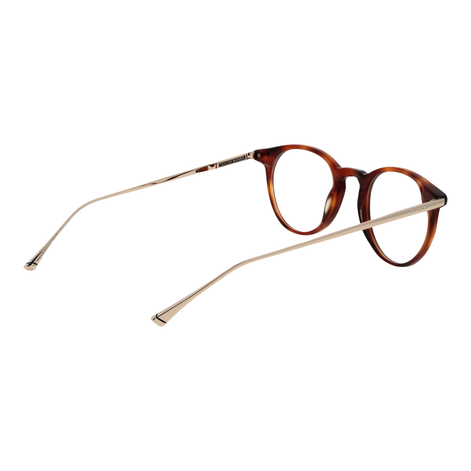 TAYLOR MORRIS EYEWEAR TM07 47C2 Sonnenbrille ansicht-2