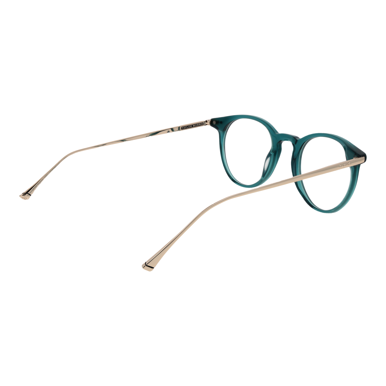 TAYLOR MORRIS EYEWEAR TM07 47C4 Sonnenbrille ansicht-2