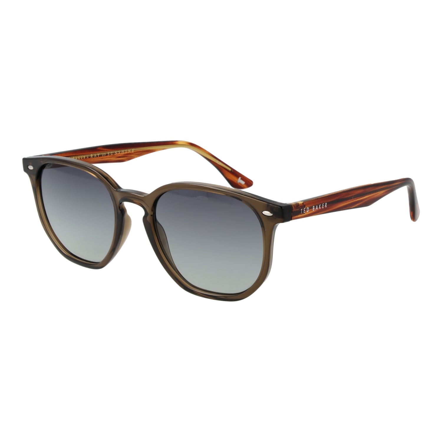 TED BAKER SUNGLASSES TB1655 52949 Sonnenbrille ansicht-3