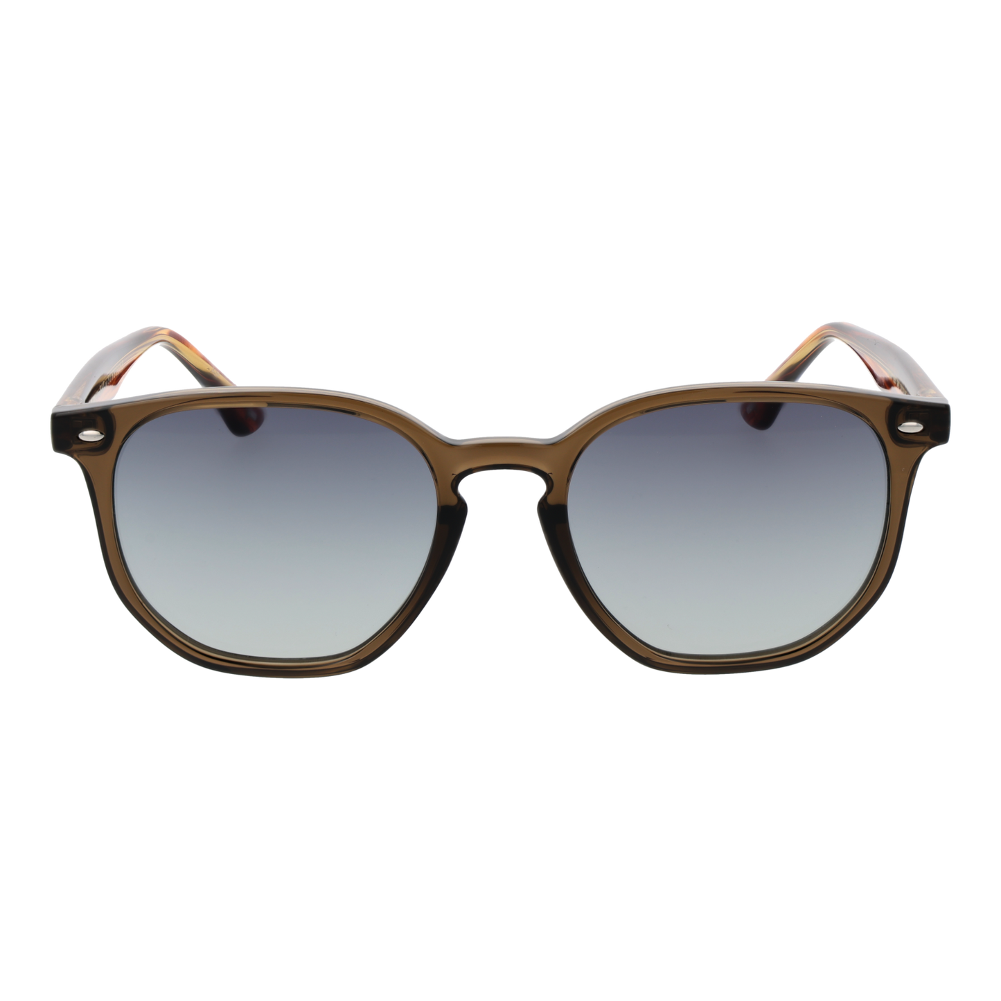 TED BAKER SUNGLASSES TB1655 52949 Sonnenbrille