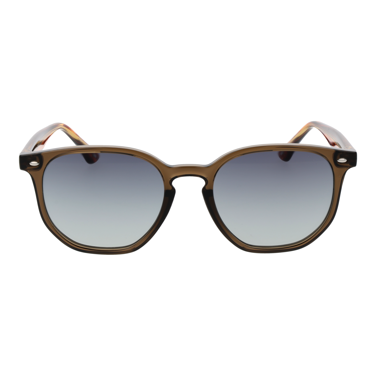 TED BAKER SUNGLASSES TB1655 52949 Sonnenbrille