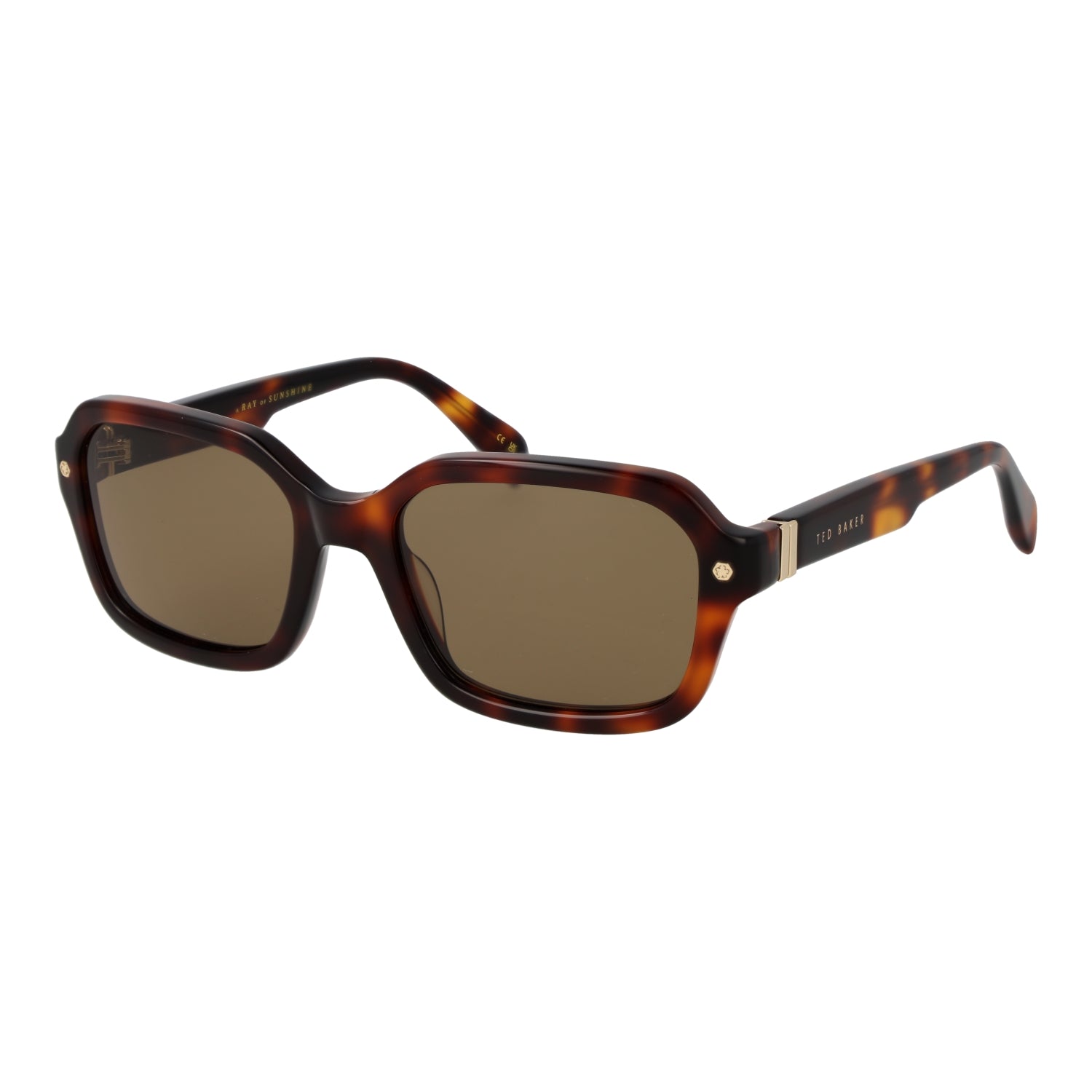 TED BAKER SUNGLASSES TB1697 55101 Sonnenbrille ansicht-3