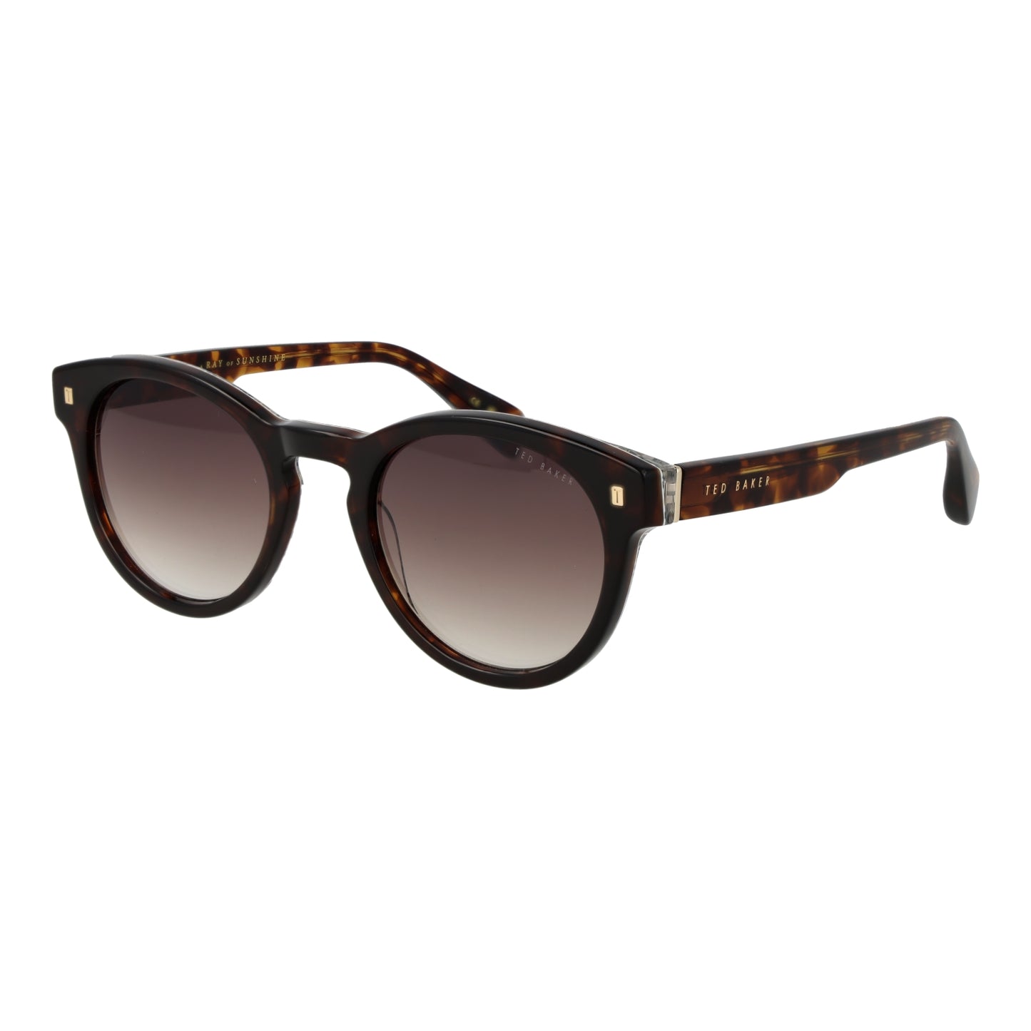TED BAKER SUNGLASSES TB1752 51119 Sonnenbrille ansicht-3
