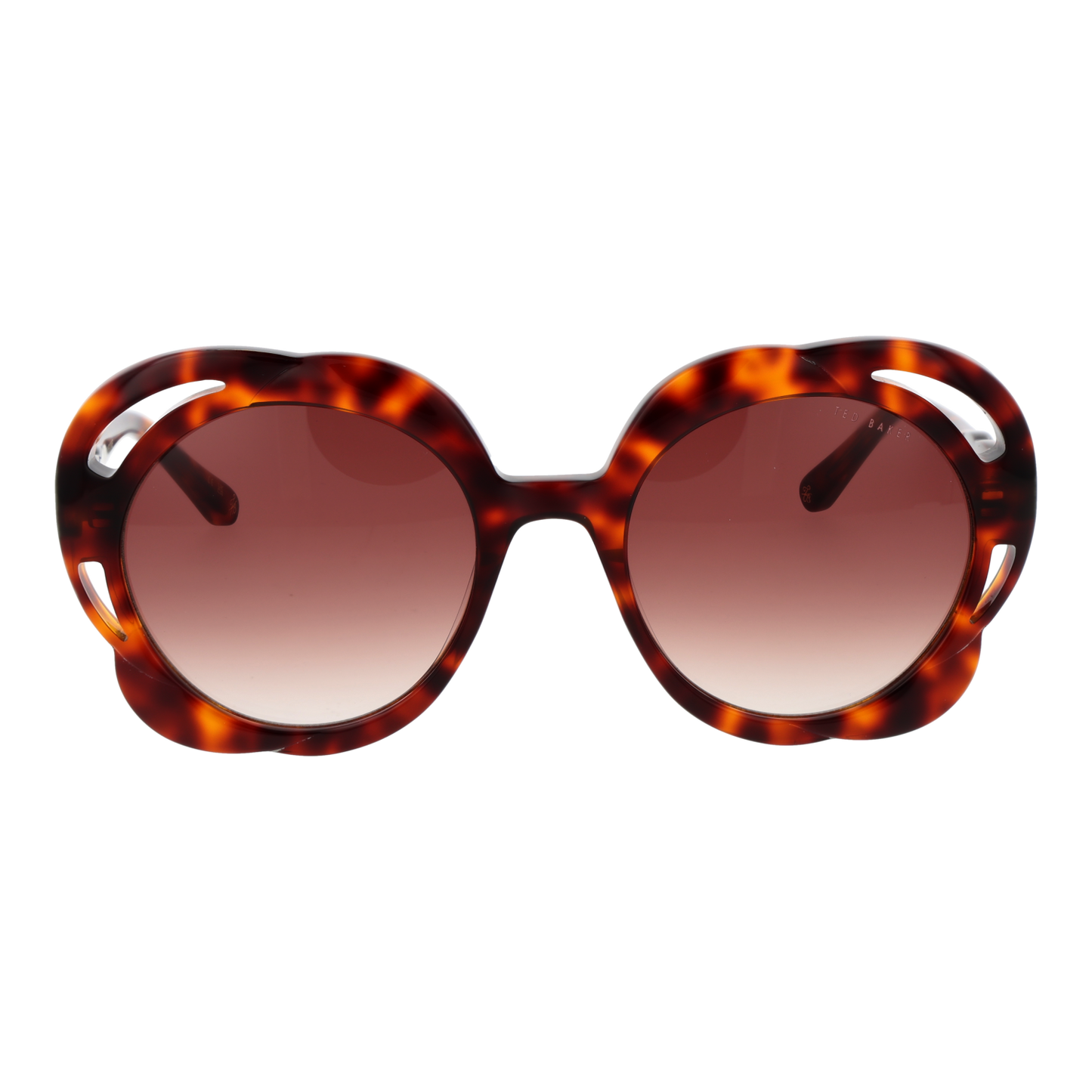 TED BAKER SUNGLASSES TB1772 53100 Sonnenbrille