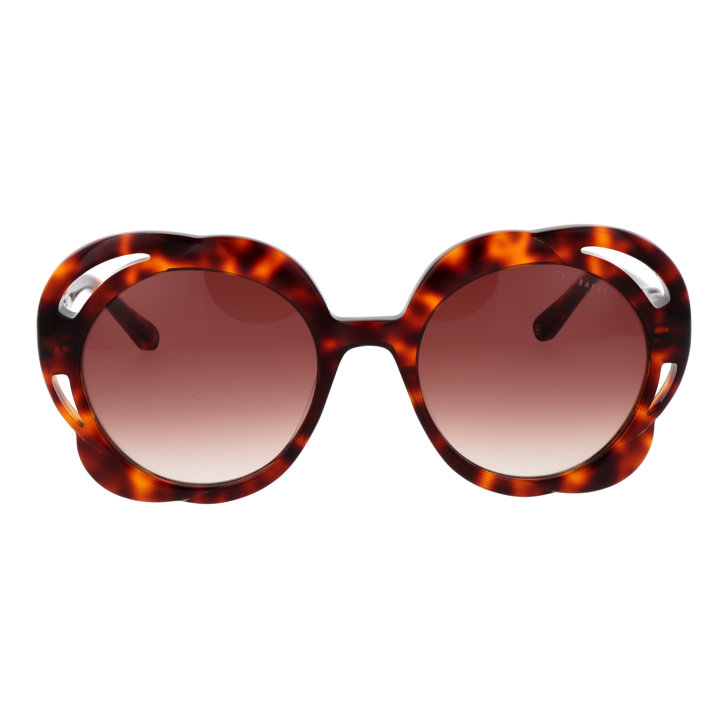 TED BAKER SUNGLASSES TB1772 53100 Sonnenbrille