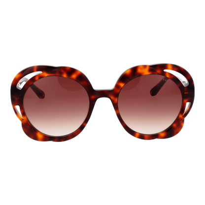 TED BAKER SUNGLASSES TB1772 53100 Sonnenbrille