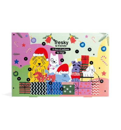 CARTOON CARTOON Tresky y Friends Adventskalender 12-teilig Kosmetik Geschenkset
