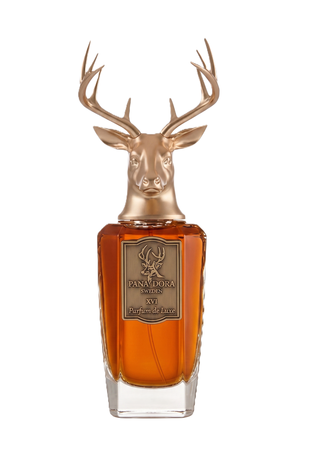 PANA DORA XVI EDP 100 ML