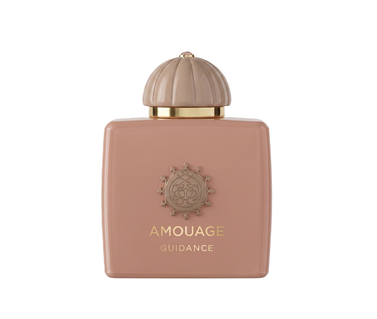 AMOUAGE GUIDANCE EDP 100 ML