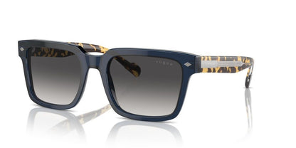 VOGUE SUNGLASSES VO 5573S VO 5573S_31438G_55 Sonnenbrille ansicht-2