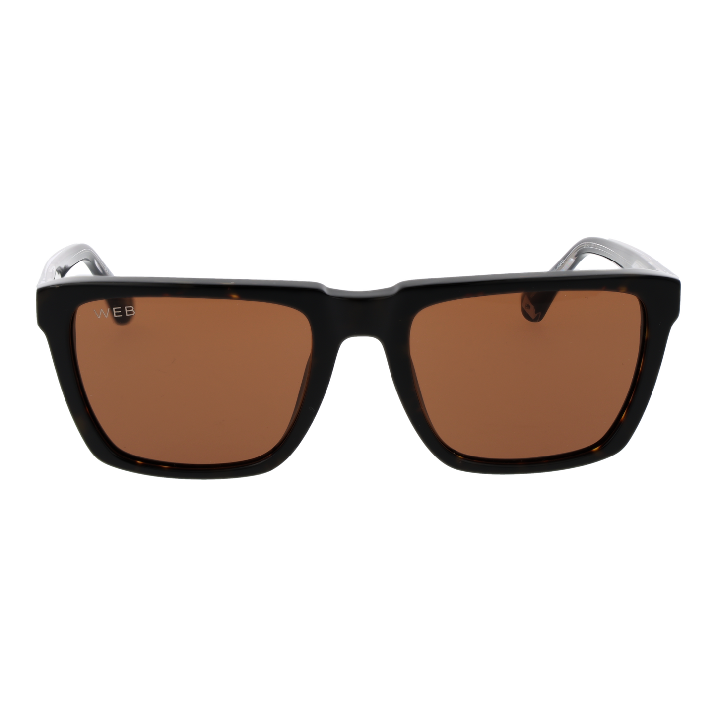 WEB EYEWEAR WE0379 5556E Sonnenbrille