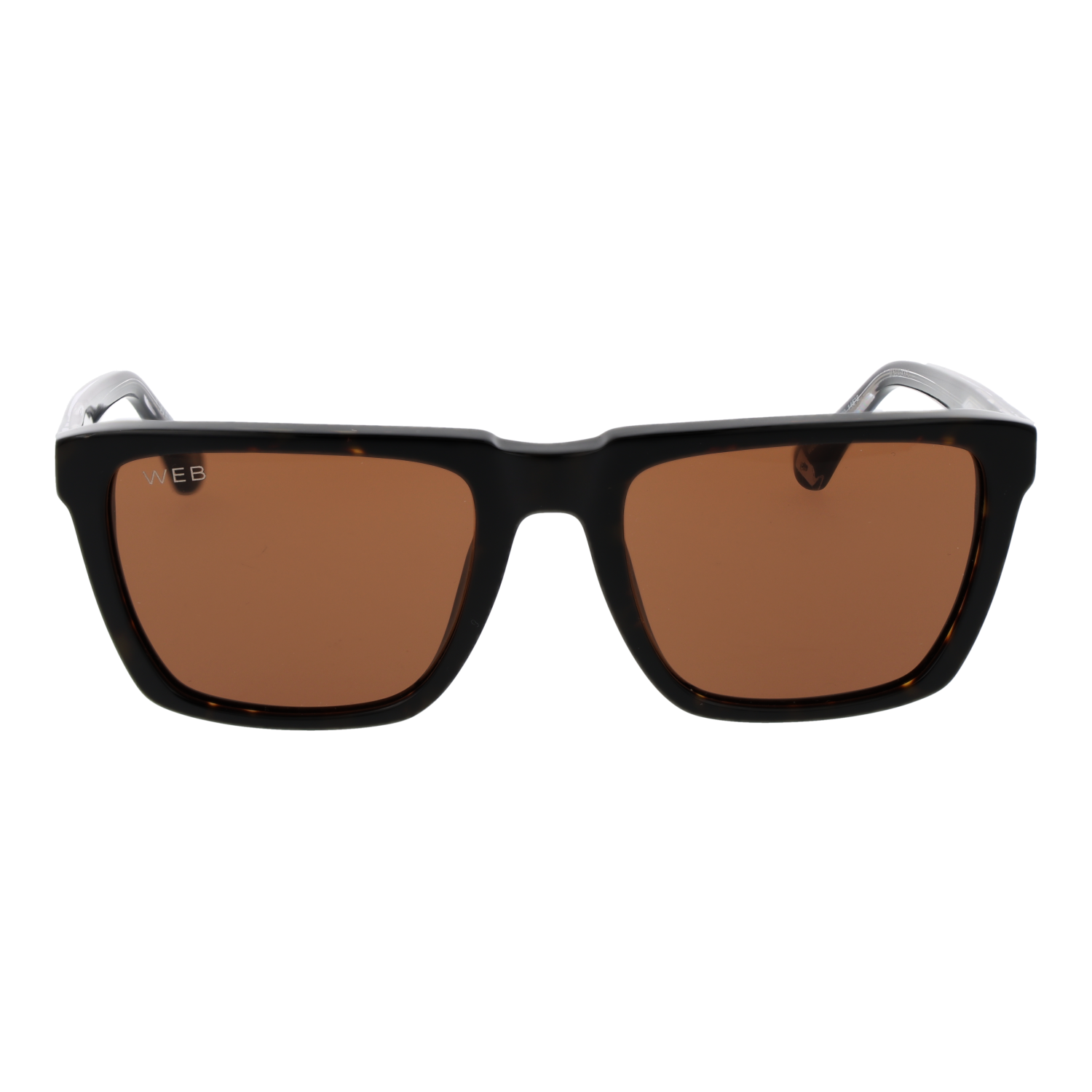WEB EYEWEAR WE0379 5556E Sonnenbrille