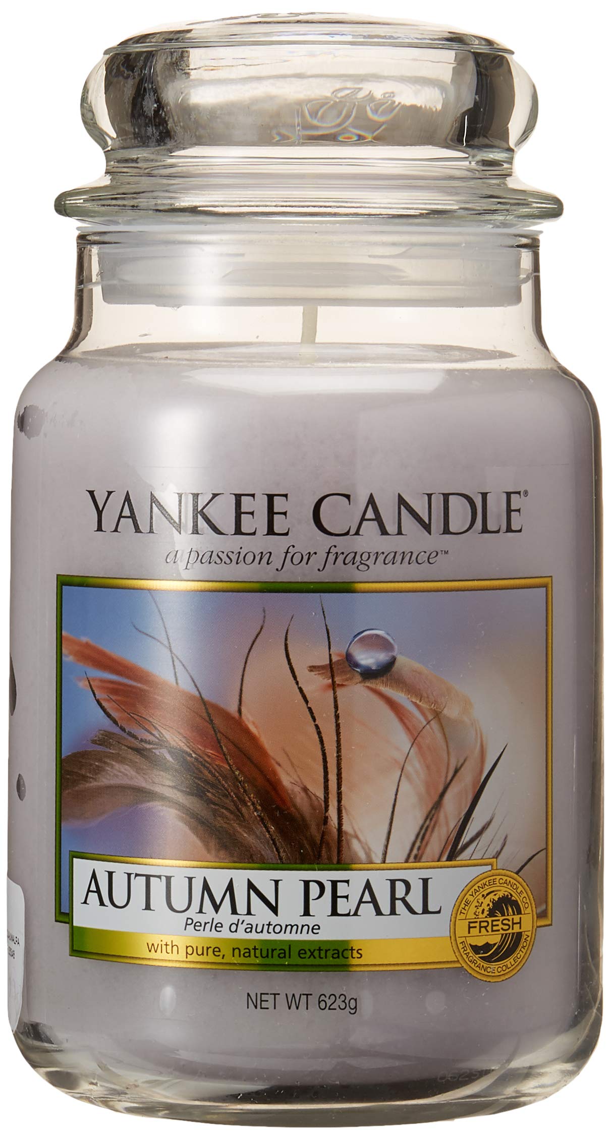 Yankee Candle Duftkerze Yankee Candle, Autumn Pearl, Scented Candle, 623 g Regular